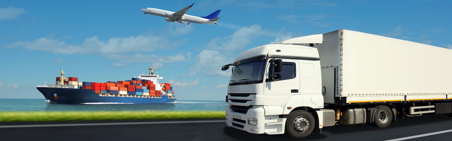 Packers and Movers in Bhopal
