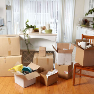 packers and movers hisar to baroda